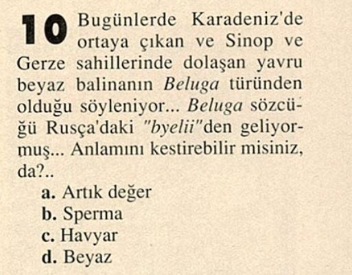 blg_Cizgi_Diyari03455.jpg