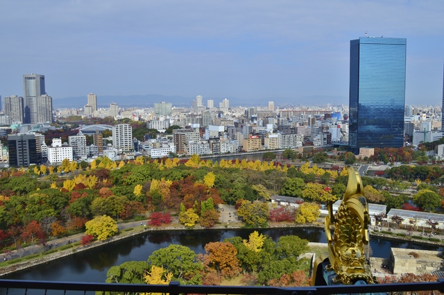 De Sábado 22 a Martes 25: Miyajima/Himeji/ Kioto/Osaka - Noviembre 2014, 18 días en Japón (14)