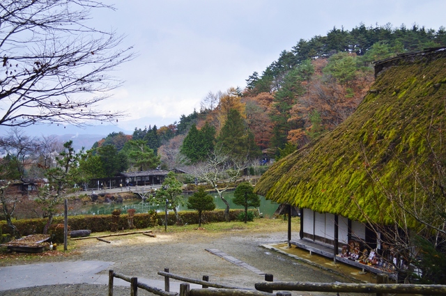 Domingo 16, Lunes 17 y Martes 18: Tsumago -Magome/Takayama/Hida No Sato - Noviembre 2014, 18 días en Japón (35)