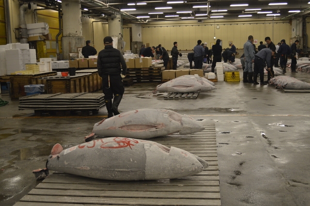 De Sábado a lunes: Tokio, Mercado de Tsukiji y alguna cosa más - Noviembre 2014, 18 días en Japón (9)