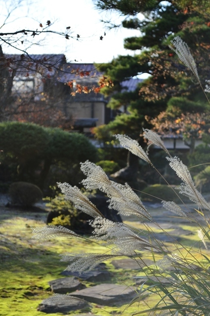 Domingo 16, Lunes 17 y Martes 18: Tsumago -Magome/Takayama/Hida No Sato - Noviembre 2014, 18 días en Japón (19)