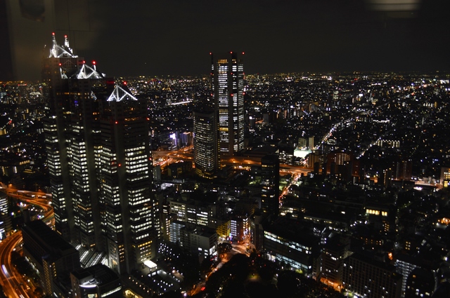 Noviembre 2014, 18 días en Japón - Blogs de Japon - De Sábado a lunes: Tokio, Mercado de Tsukiji y alguna cosa más (16)