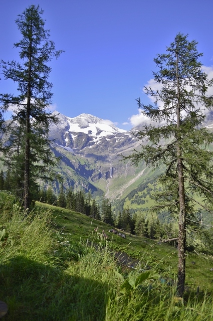 10 días recorriendo Austria, verano del 2015 - Blogs de Austria - Viernes 31: Carretera Grossglockner y catarata Krimml (2)