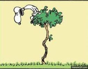 Snoopy_Vulture
