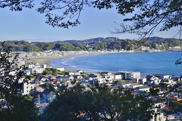 Viernes 14 y sabado 15: Kamakura y Barrio de Akihabara - Noviembre 2014, 18 días en Japón (9)