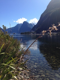 NUEVA ZELANDA - SEPTIEMBRE - 18 DÍAS - Blogs de Nueva Zelanda - MILFORD SOUND Y QUEENSTOWN (3)
