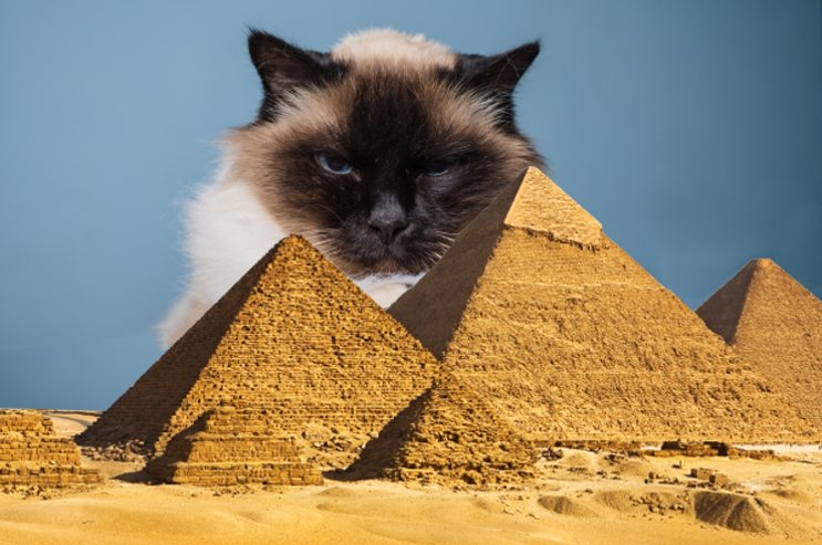 Egypt-_Cat-cover-1.png