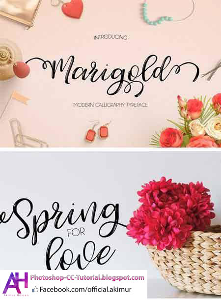 stylish_fonts_download