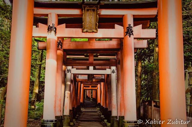 DIA 11: NARA / Fushimi Inari - JAPAN is different! (22)