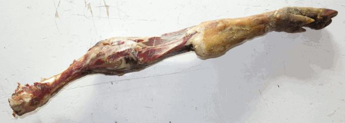 huesojamon.jpg