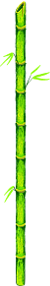 Bamboo-_Matices.png