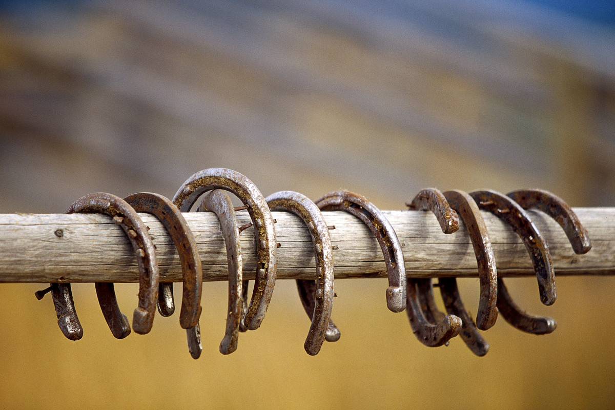 © Echo Valley Ranch (CC BY-NC 2.0)