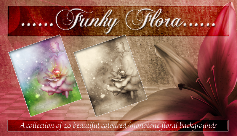 Funky Flora by Bez