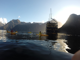 NUEVA ZELANDA - SEPTIEMBRE - 18 DÍAS - Blogs de Nueva Zelanda - MILFORD SOUND Y QUEENSTOWN (8)