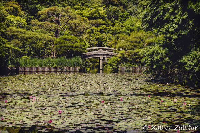JAPAN is different! - Blogs de Japon - DIA 12: KYOTO – Pabellón dorado / Ryoan-ji / Arashiyama (5)