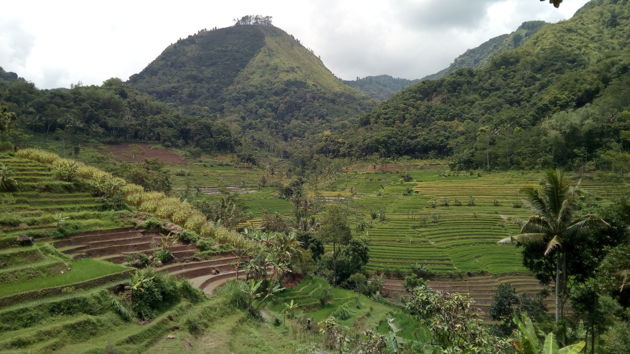 19-Noviembre al 9-Diciembre de 2016: Indonesia, 21 días por libre - Blogs of Indonesia - Día 4: Mar. 22 Nov 2016: Borobudur. Selogriyo. Yogyakarta (11)