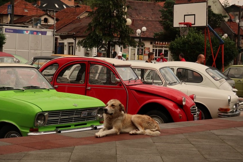 Travnik2018
