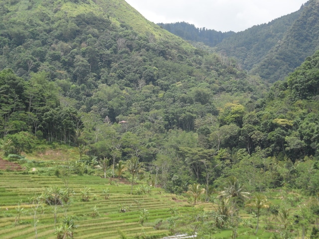 19-Noviembre al 9-Diciembre de 2016: Indonesia, 21 días por libre - Blogs of Indonesia - Día 4: Mar. 22 Nov 2016: Borobudur. Selogriyo. Yogyakarta (9)