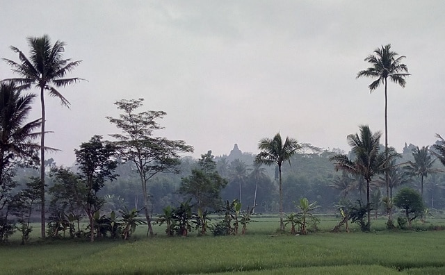 19-Noviembre al 9-Diciembre de 2016: Indonesia, 21 días por libre - Blogs of Indonesia - Día 4: Mar. 22 Nov 2016: Borobudur. Selogriyo. Yogyakarta (3)