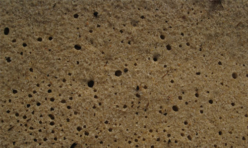 3ds max paint texture 3ds max paint texture