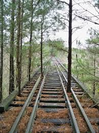 trees_in_tracks.jpg