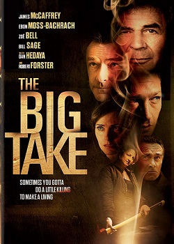 The Big Take 2018 720p WEB-DL x264-TFPDL