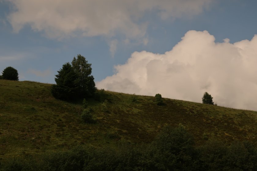 Travnik2018