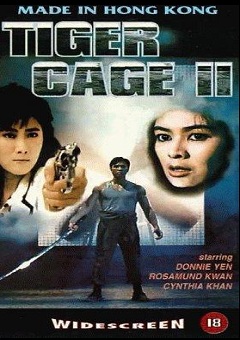 Tiger Cage 1990 DVDRip x264-TFPDL