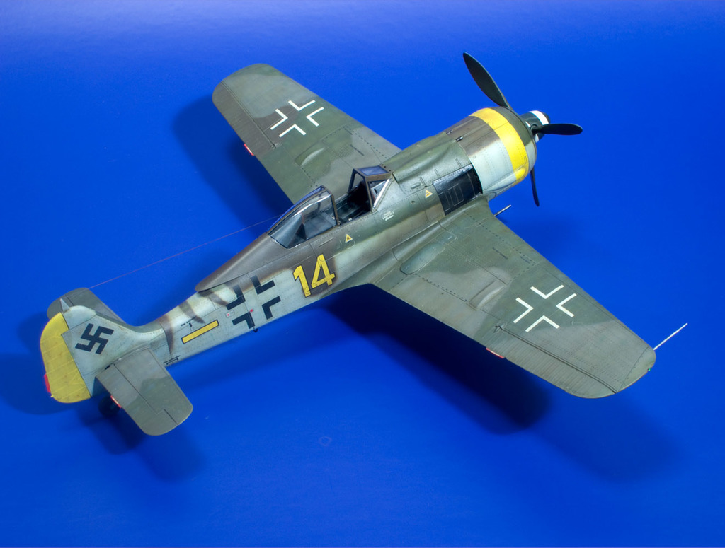 FW 190F-8 Eduard 1/48 - Ready for Inspection - Aircraft